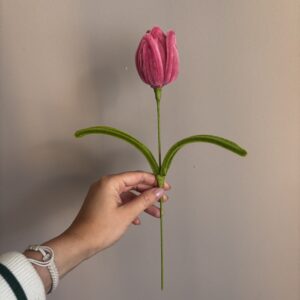 Tulipán
